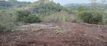 Kalugal (කළුගල්) Supplier