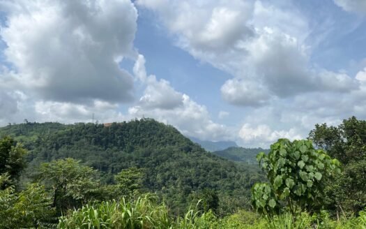 Kitulgala Tourist Zone – Prime Riverside Eco-Development Land for Rs 45 Million (Negotiable)