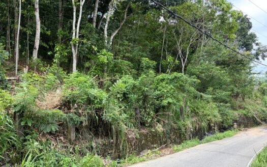 Kandy, Kadugannawa – High-Value Residential Land for Sale – Rs 500,000 Per Perch