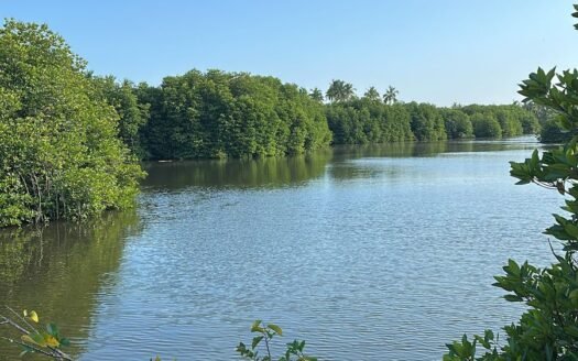 Midigama – 9-Acre Waterfront Eco-Sanctuary for USD 3.34 Million ≈ 1,032 Million (Negotiable)