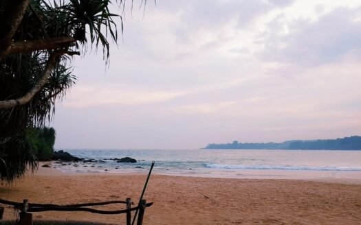 Talalla – Beachfront Land For Sale for USD 2 Million ≈ Rs 620 Million (Negotiable)