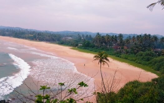 Talalla – Beachfront Land For Sale for USD 2 Million ≈ Rs 620 Million (Negotiable)