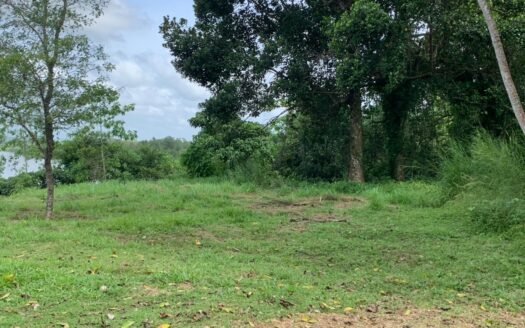 Panadura (Bolgoda River) – Stunning Waterfront Investment for Rs 832 Million (Negotiable)