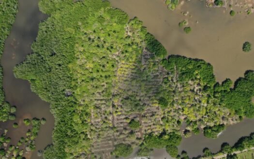 Midigama – 9-Acre Waterfront Eco-Sanctuary for USD 3.34 Million ≈ 1,032 Million (Negotiable)