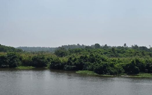 Katunayake – 40-Acre Exclusive Island Property for Sale – Rs 95,000 Per Perch (Negotiable)