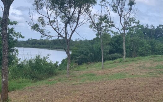 Panadura (Bolgoda River) – Stunning Waterfront Investment for Rs 832 Million (Negotiable)