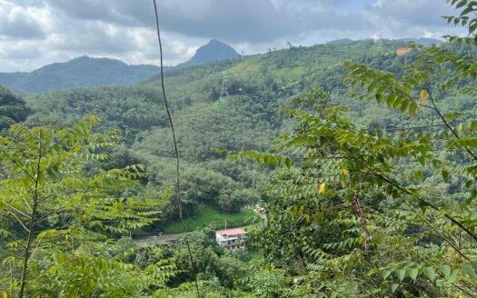 Kitulgala Tourist Zone – Prime Riverside Eco-Development Land for Rs 45 Million (Negotiable)