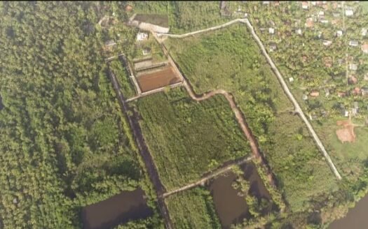 Ja-Ela (Pamunugama) –  Strategic Investment Land for Sale Rs.275,000  Per Perch (Negotiable)